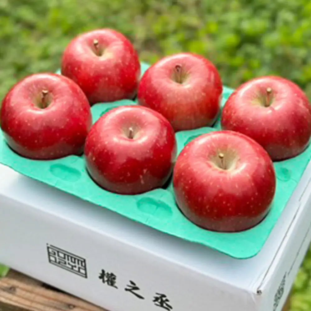 【26年11月下旬～発送】りんご コスモふじ【家庭用】約2kg 權之丞 葉とらずりんご 青森りんご 先行受付 青森県 弘前市 果物 フルーツ 林檎 リンゴ くだもの 不揃い 規格外