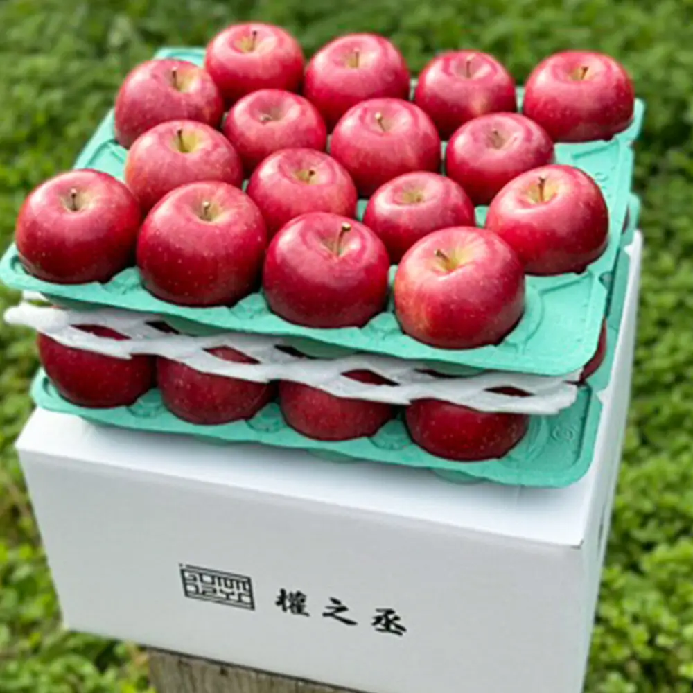 【26年11月下旬～発送】りんご コスモふじ【家庭用】約10kg 權之丞 葉とらずりんご 青森りんご 先行受付 青森県 弘前市 果物 フルーツ 林檎 リンゴ くだもの 不揃い 規格外