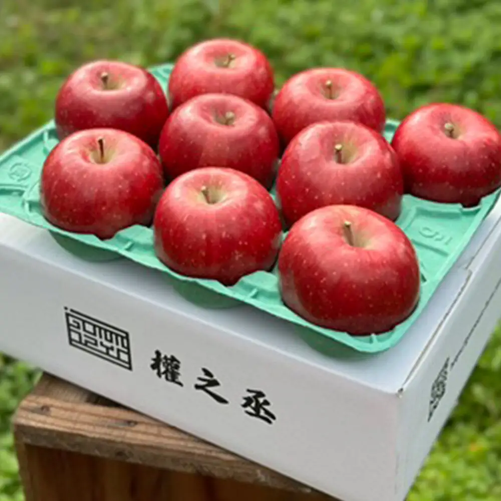 【26年11月下旬～発送】りんご コスモふじ【贈答用】約3kg 權之丞 葉とらずりんご 青森りんご 先行受付 青森県 弘前市 果物 フルーツ 林檎 リンゴ くだもの ギフト 贈り物
