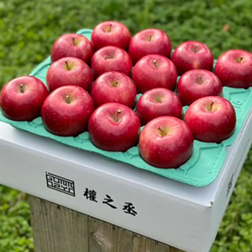 【26年11月下旬～発送】りんご コスモふじ【贈答用】約5kg 權之丞 葉とらずりんご 青森りんご 先行受付 青森県 弘前市 果物 フルーツ 林檎 リンゴ くだもの ギフト 贈り物