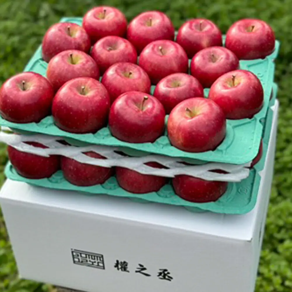 【26年11月下旬～発送】りんご コスモふじ【贈答用】約10kg 權之丞 葉とらずりんご 青森りんご 先行受付 青森県 弘前市 果物 フルーツ 林檎 リンゴ くだもの ギフト 贈り物