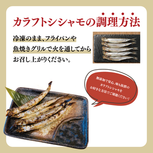 ししゃも 子持ち カラフトシシャモ 超特大 5尾 5パック 子持ちシシャモ カラフトししゃも 大洗 焼くだけ 簡単調理_AV018