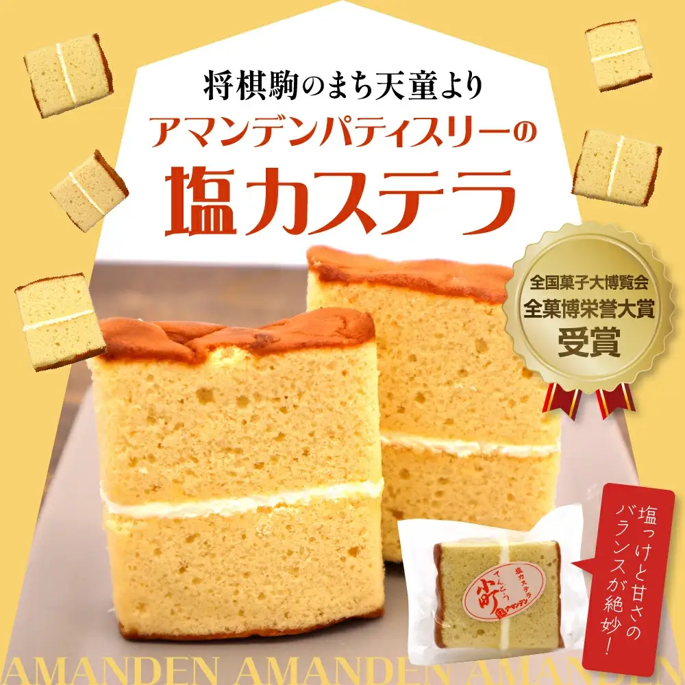 塩カステラ てんどう小町 18個入り スイーツ お菓子 カステラ