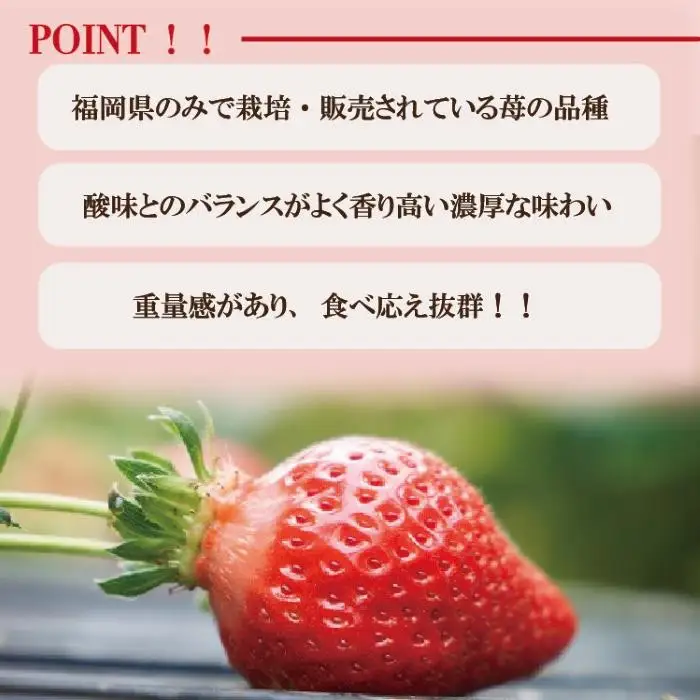 【2027年1月～2月出荷予定】完熟 あまおう イチゴ 350g×2パック(約700g)＜配送不可：北海道、沖縄県、離島＞