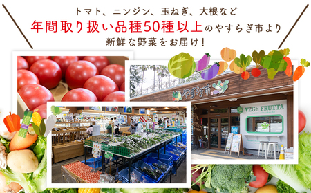 【2027年1月以降発送】フルーツトマト ４ｋｇ 家庭用 yr-0069
