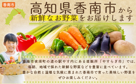 【2026年10月中旬以降発送】長なす １ｋｇ 家庭用 yr-0070