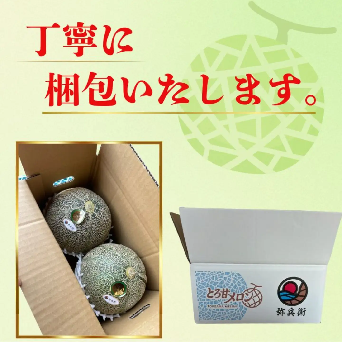 アムスメロン 2玉 メロン 【6月下旬～7月中旬発送】