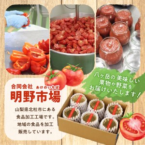 POMODOLO八ヶ岳トマトケチャップ 6本セット [h042]