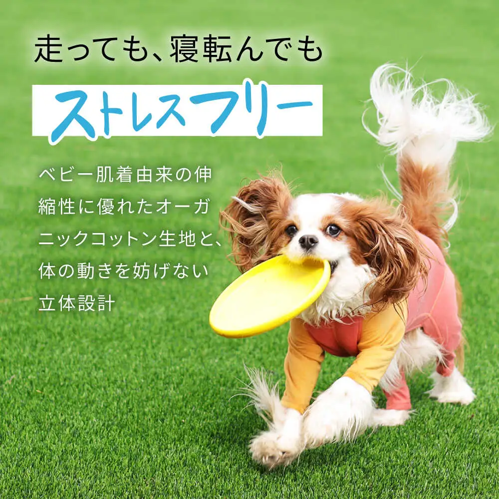 オーダメイド ドッグウェア / 犬 ペット服 ペットウェア / 諫早市 / 株式会社美泉[AHAP045]