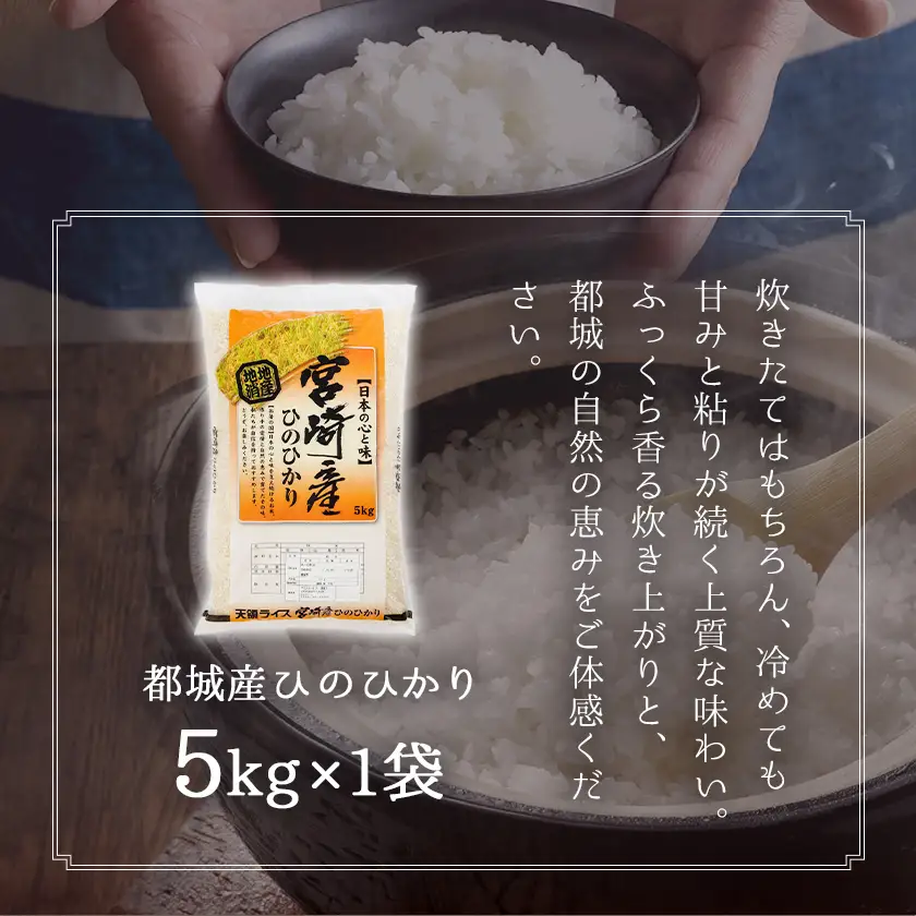都城産ひのひかり5kg(5kg×1袋)〔AO-A701〕_ お米
