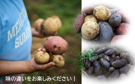 長野県佐久市産 【カラフル】じゃがいも 詰め合わせ 約3kg （北海道・沖縄・離島は配送不可） 農薬・化学肥料　不使用　高原野菜　無農薬　産地直送　新鮮　旬彩　期間限定