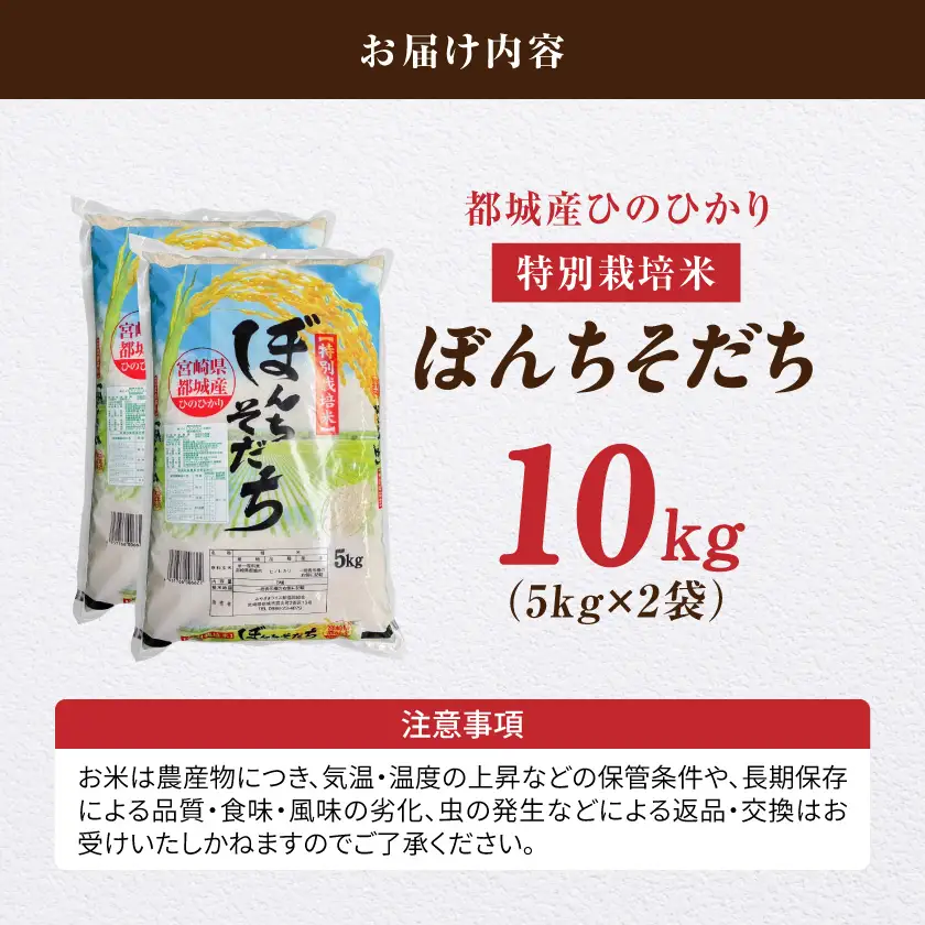 都城産ひのひかり特別栽培米「ぼんちそだち」10kg(5kg×2袋)〔21-N5-001-10kg〕_(都城市) 都城産 お米 10kg 5kg×2 ひのひかり ぼんちそだち