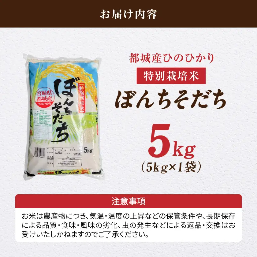 都城産ひのひかり特別栽培米「ぼんちそだち」5kg(5kg×1袋)〔12-N5-001-5kg〕_(都城市) 都城産 お米 5kg 5kg×1 ひのひかり ぼんちそだち