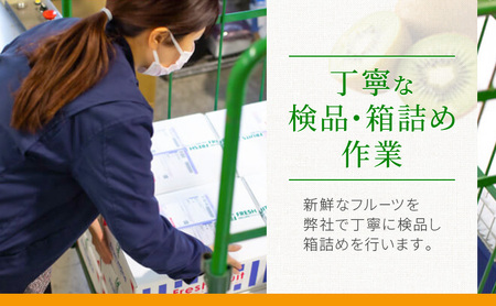 いちご 紅ほっぺ JA遠州中央 静岡県産 いちご【260g×2パック】