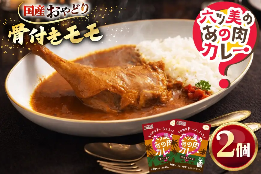 レトルト カレー 国産 骨付きモモ 1本 六ツ美のあの肉カレー 辛口 2個 計480g セット