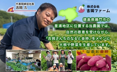 【予約受付中・2026年10月頃より順次発送】「吉岡さんちのなると金時」 Lサイズ 5kg