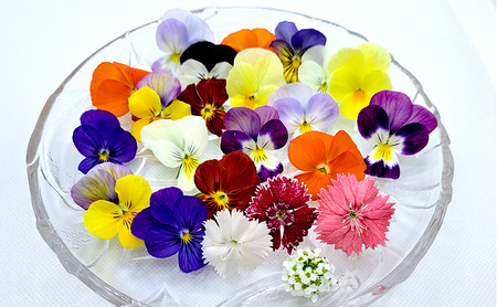 エディブルフラワーセット 食用花Dセット エディブルフラワーセット【生花20輪×4パック クレソン80g ドライ2g】