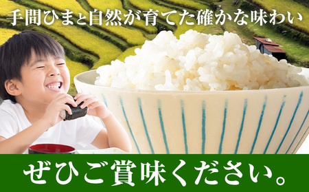棚田米 精米 5kg 米