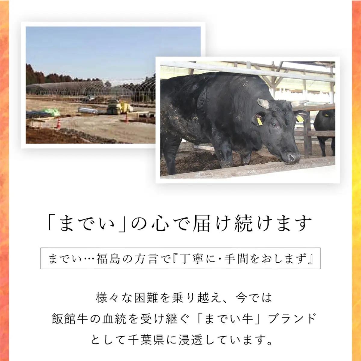  【約300g・肩ロース・すき焼き用】山武牛「までいの牛」 ITTAK008