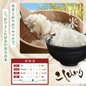 R7年産取手市産コシヒカリ 精米5kg|お米 米 こしひかり コシヒカリ 白米 茨城県 取手市（BS001）