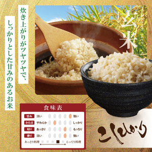 【数量限定】【期間限定】R7年産取手市産コシヒカリ 玄米5kg|お米 米 こしひかり コシヒカリ 玄米 茨城県 取手市（BS003）