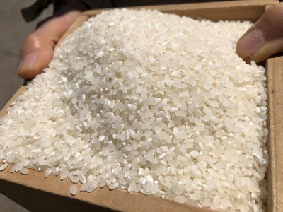 【令和8年産】新米 有機肥料100％使用！門外不出のコシヒカリ 10kg