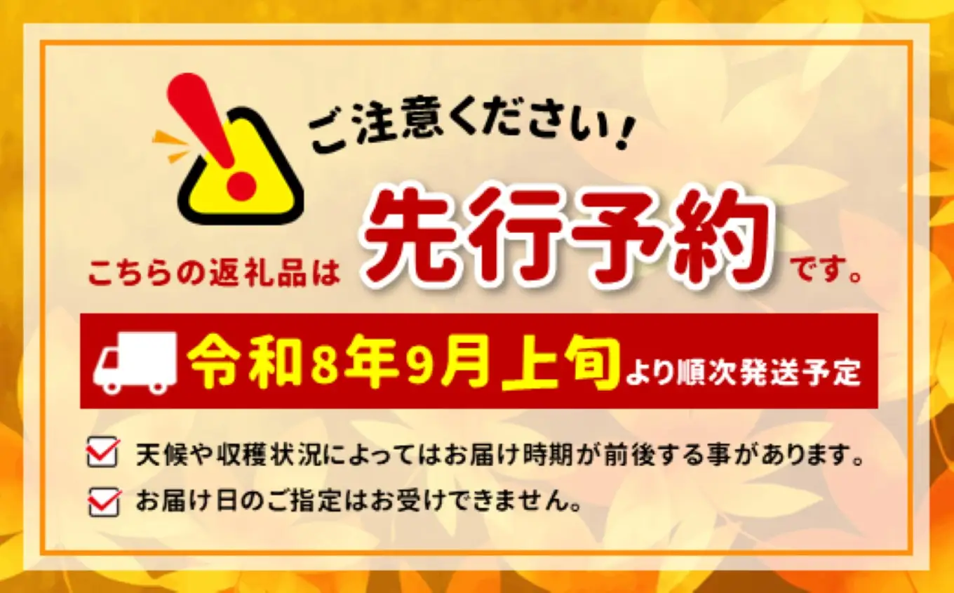 【先行予約】 令和8年9月頃から順次発送 信州伝統野菜 天龍村産ていざなす2本セット（１本450ｇ～650ｇ）☆レシピ付き☆