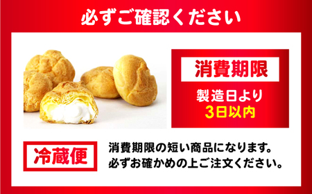 【6回定期便】シュークリーム ダブルクリーム ラップシュー 6個入り / 洋菓子 お菓子 スイーツ 個包装 【配送不可地域：北海道、北東北（秋田、青森、岩手）、九州、沖縄、離島】 小浜市 / 志保重[BFBF016]
