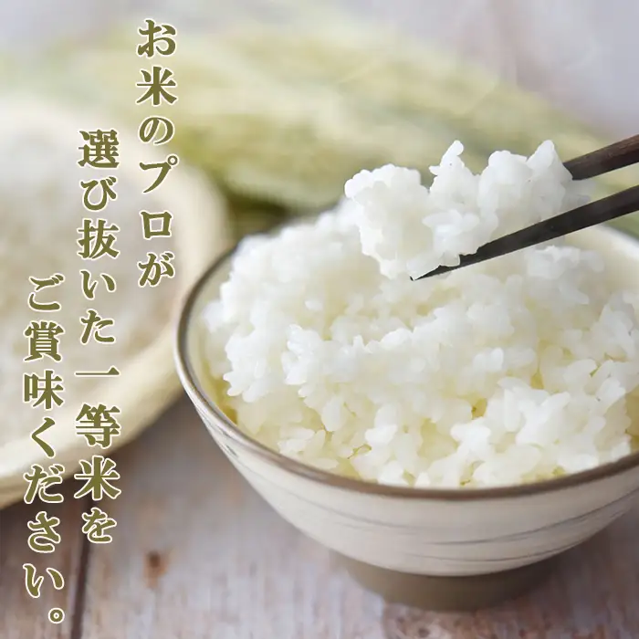 【お米ソムリエ厳選】千葉県オリジナル品種 一等米『ふさこがね』５kg（千葉県産） 《令和７年産》《2週間以内に発送》《配送指定OK》千葉県産 ブランド米 コメ 白米 精米 米食味鑑定士 精米したて 色彩選別 [米屋新蔵][0012-0088]