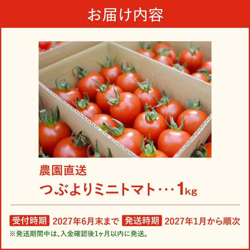 【先行予約】≪2027年1月より順次発送≫農園直送 つぶより ミニトマト 1kg入り