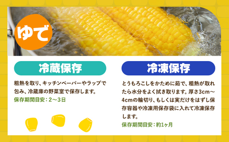とうもろこし スイートコーン 10本 とうもろこし
