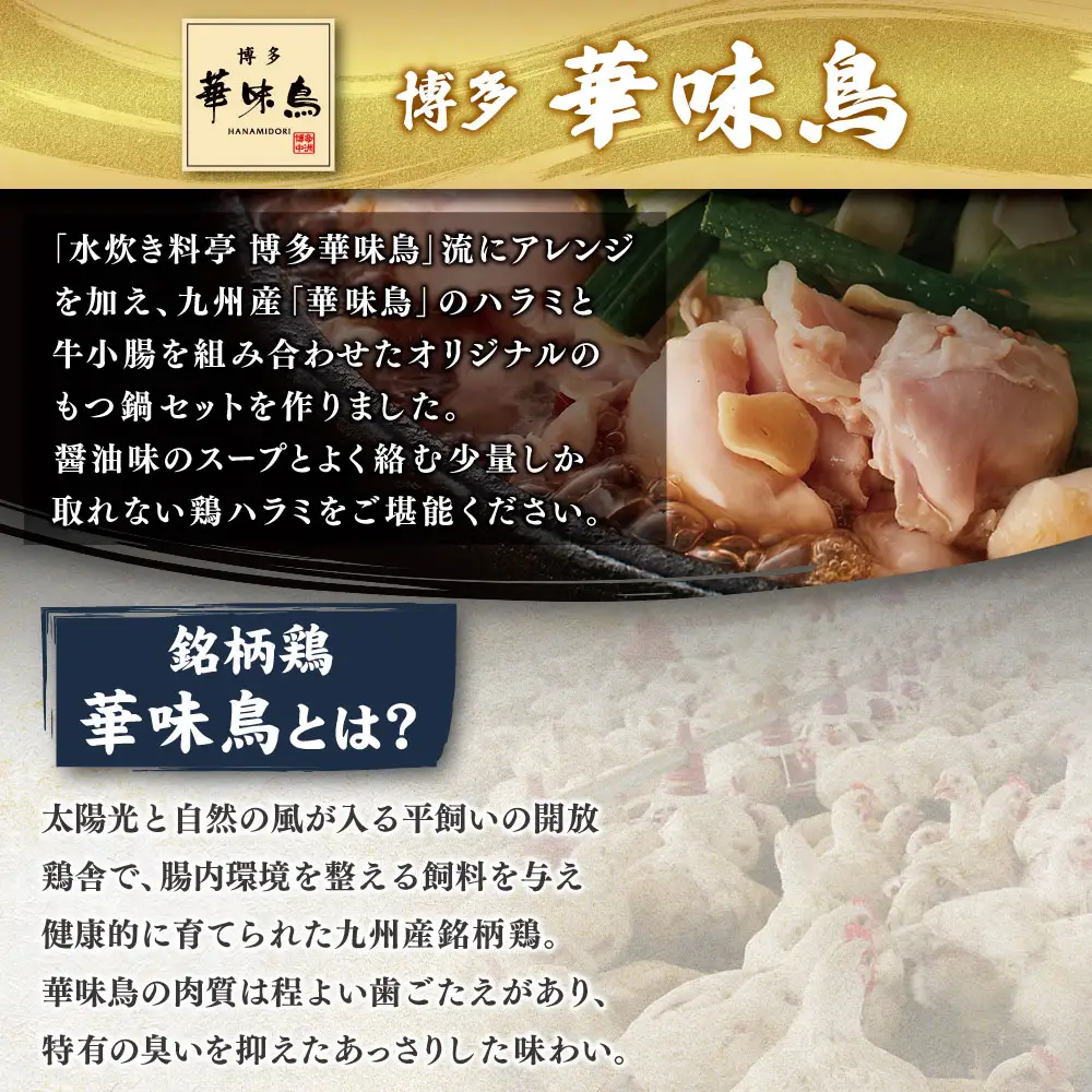Z08-34 博多もつ鍋食べ比べ3種セット（醤油味2-4人前） 【おおやま/2人前・上田商店/2人前・華味鳥/3-4人前】 もつ鍋