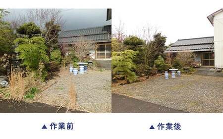 里帰り作業代行 お庭の除草 半日コース