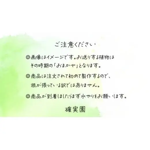 寄せ植え 江戸の四季 【 3ヶ月に1回お届け (全4回お届け) 】