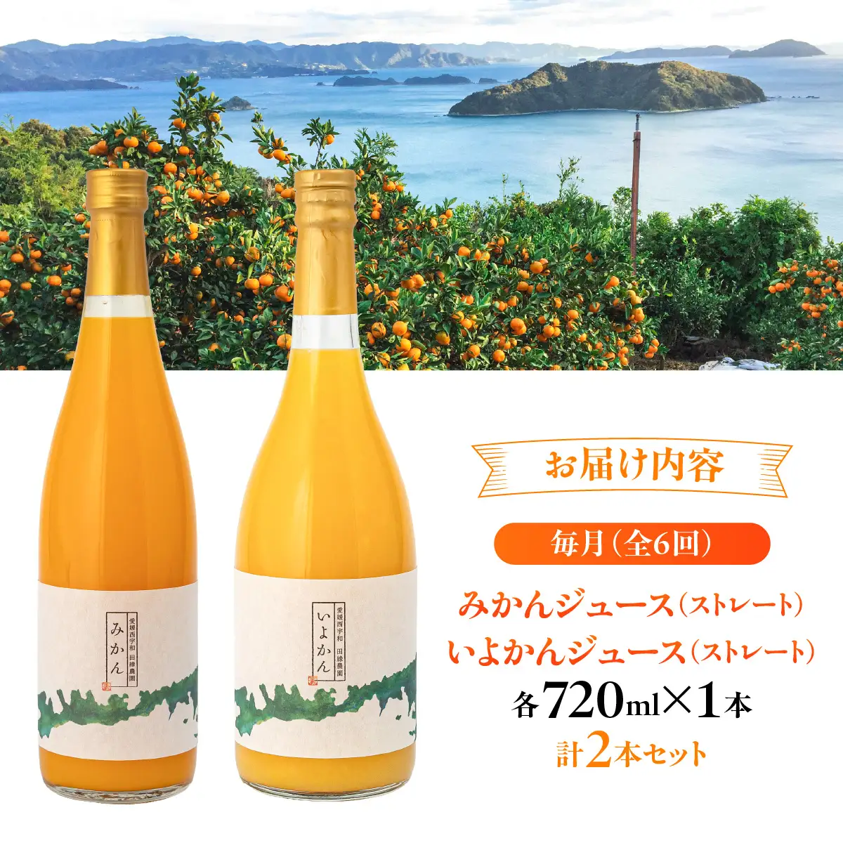 【6ヶ月定期便】田縁農園 2種みかんジュース（みかん いよかん）セット 全6回 IKTA048