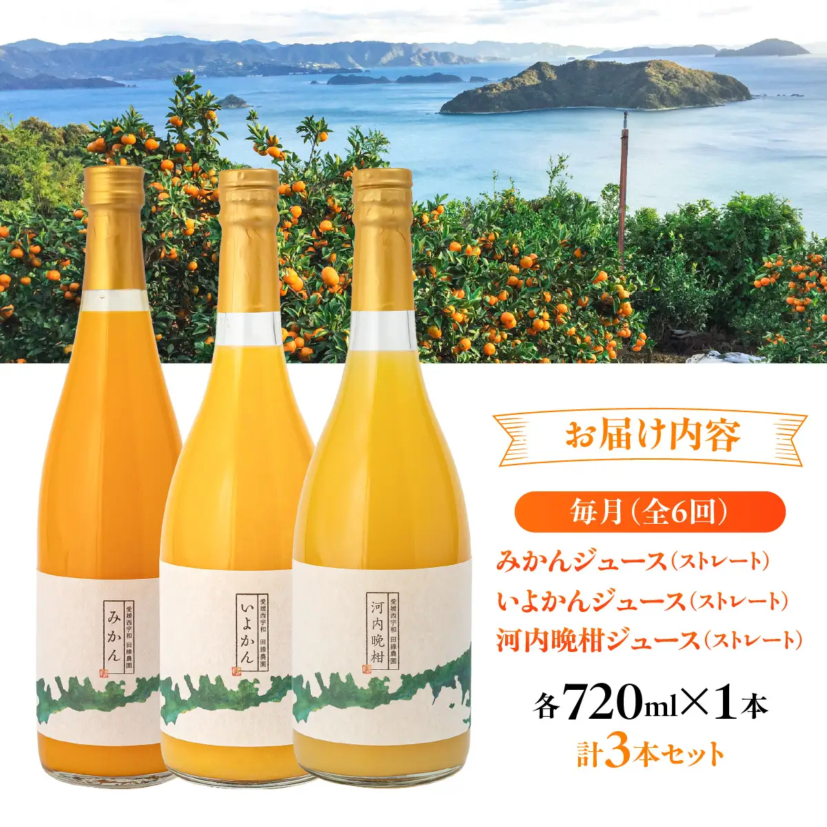 【6ヶ月定期便】田縁農園 3種みかんジュース（みかん いよかん 河内晩柑）セット 全6回 IKTA050