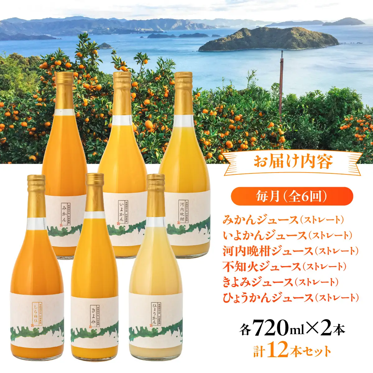 【6ヶ月定期便】田縁農園 6種みかんジュースセット 各2本セット×全6回 みかん いよかん 河内晩柑 不知火 きよみ ひょうかん IKTA051