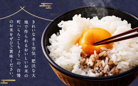【2ヶ月定期便】らんこし米食べ比べ（ななつぼし・ゆめぴりか）各2kg お米 米 精米 ななつぼし ゆめぴりか