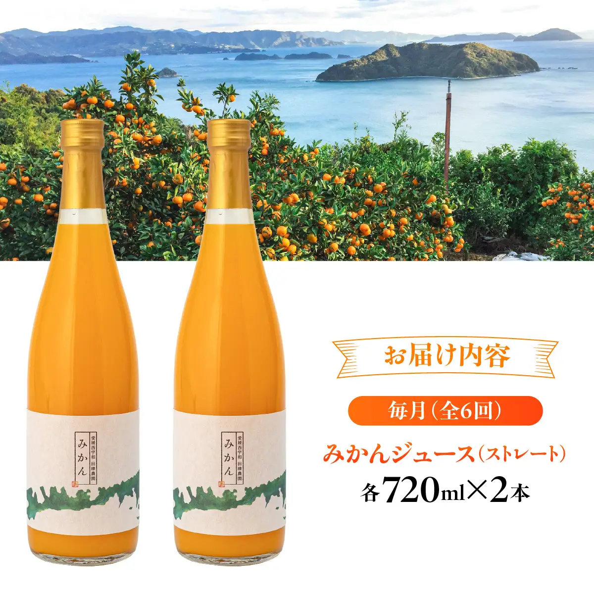 【6ヶ月定期便】田縁農園 みかんジュースセット 全6回 IKTA053