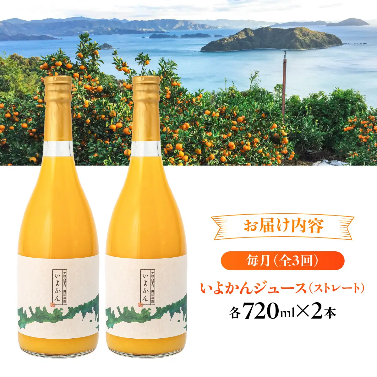 【3ヶ月定期便】田縁農園 いよかんジュースセット 全3回 IKTA054