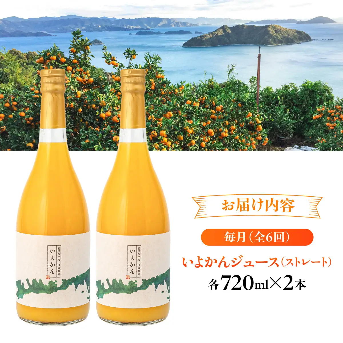 【6ヶ月定期便】田縁農園 いよかんジュースセット 全6回 IKTA055