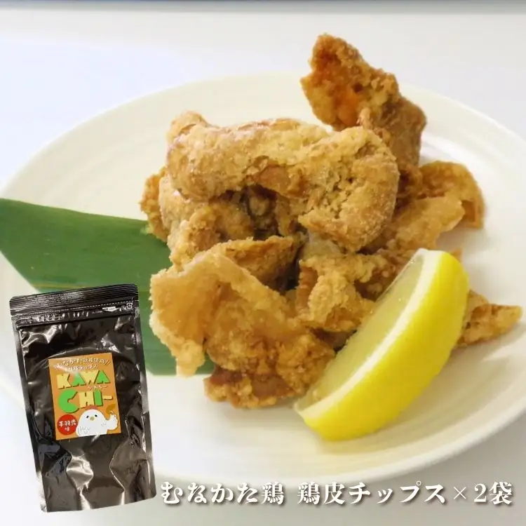 【道の駅むなかた】むなかた鶏シリーズ 鶏づくしセット（計1.3kg）_HA1837