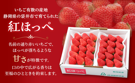 フルーツ 定期便 全2回 いちご メロン 苺 果物 フルーツ