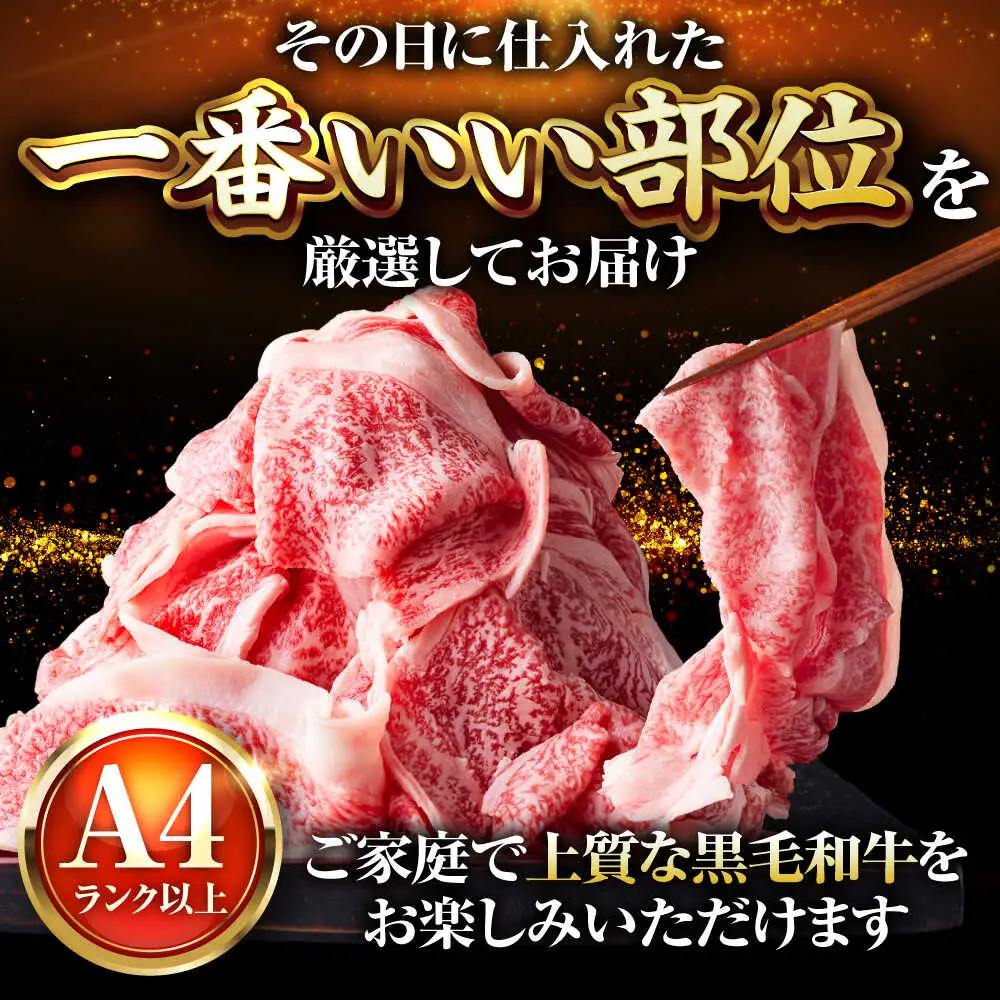 【A4-A5】博多和牛 大判霜降り 贅沢切り落とし 250g [BGAB108]