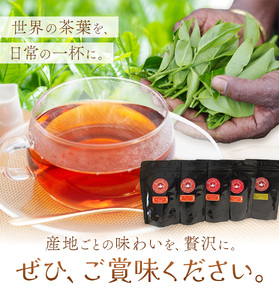 産地銘柄茶葉セット ディンブラ ウバ ヌワラエリア ルフナ ダージリン 各50g