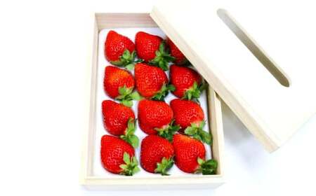 ティッシュボックス用 特別仕様の桐箱入り プレミアム あまおう 約400g×1パック あまおう いちご イチゴ 苺 果物 くだもの フルーツギフト お祝い 贈答用【2027年2月上旬～4月上旬発送予定】