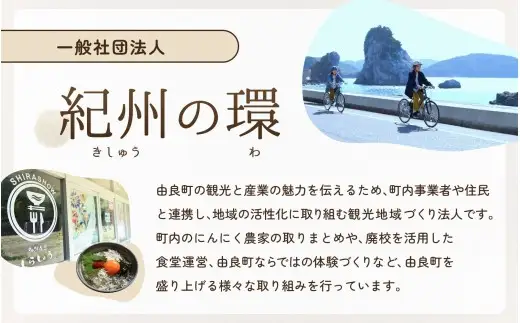 にんにく 秀品　由良の生にんにく 500g / ニンニク 生ニンニク ガーリック ※2027年4月下旬より順次発送【ksnw003】 