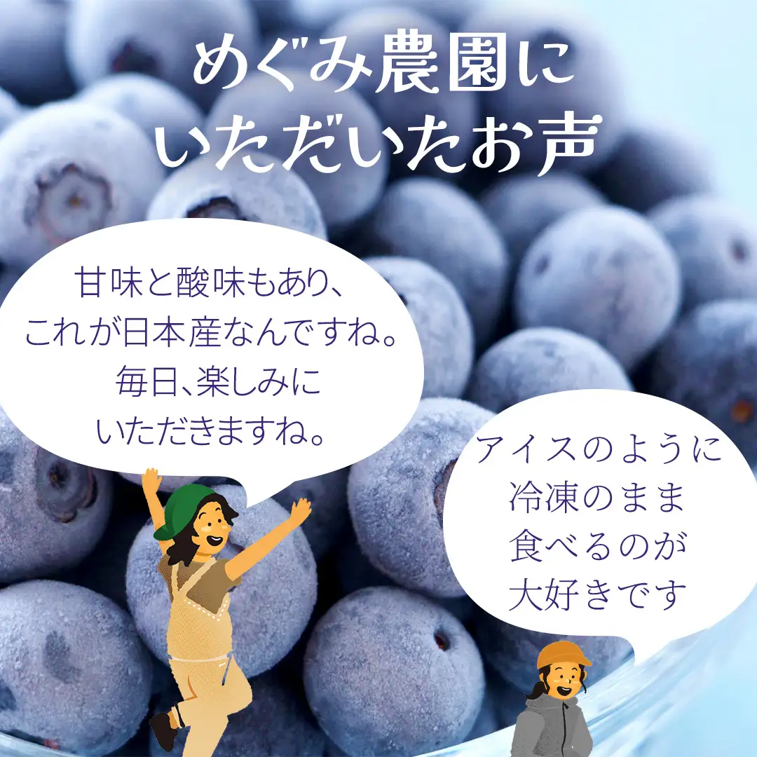 【 最短 7日以内 発送 】 冷凍ブルーベリー 大粒 1kg 数量限定 国産 フルーツ スムージー 果物 くだもの 農家直送 スイーツ アイス ノーザンハイブッシュ系 ミックス [AT015tu]