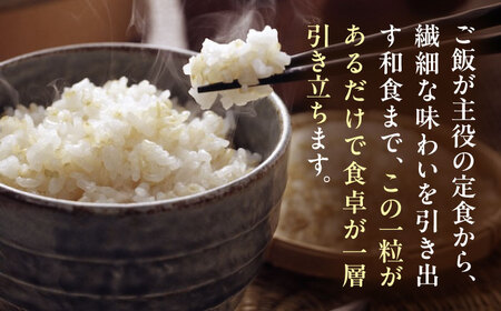 【玄米】あきたこまち 10kg【令和7年産】愛媛県大洲市/稲工房案山子[AGAV024]