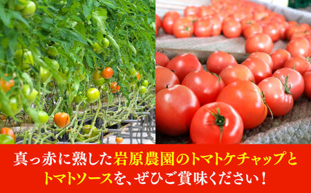 姫の完熟トマトケチャップ・トマトソース 各3本セット [TFP003] ケチャップ